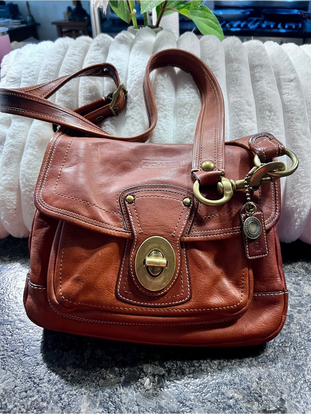 Coach Y2K Legacy Stripe 65th Anniversary Handbag Whiskey 10325